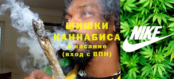 ПСИЛОЦИБИНОВЫЕ ГРИБЫ Алзамай