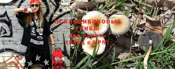 ПСИЛОЦИБИНОВЫЕ ГРИБЫ Алзамай