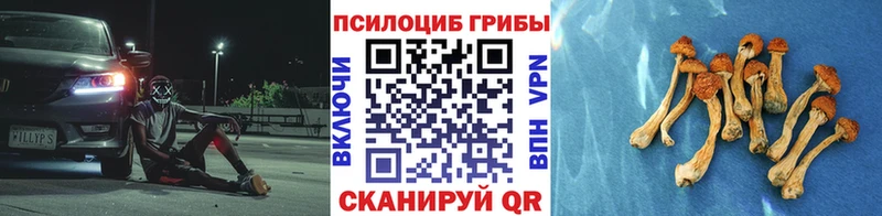 Псилоцибиновые грибы ЛСД  Юрьев-Польский 